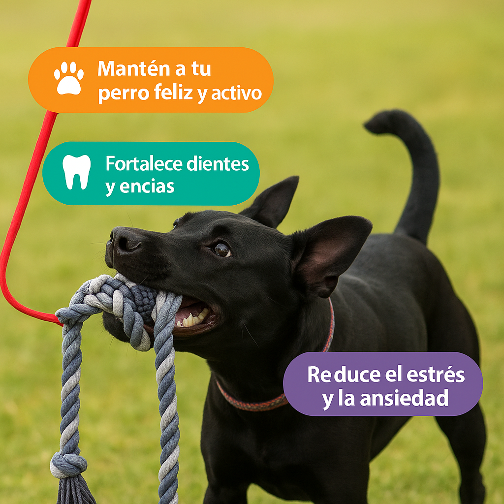 JUGUETE INTERACTIVO PARA MASCOTAS